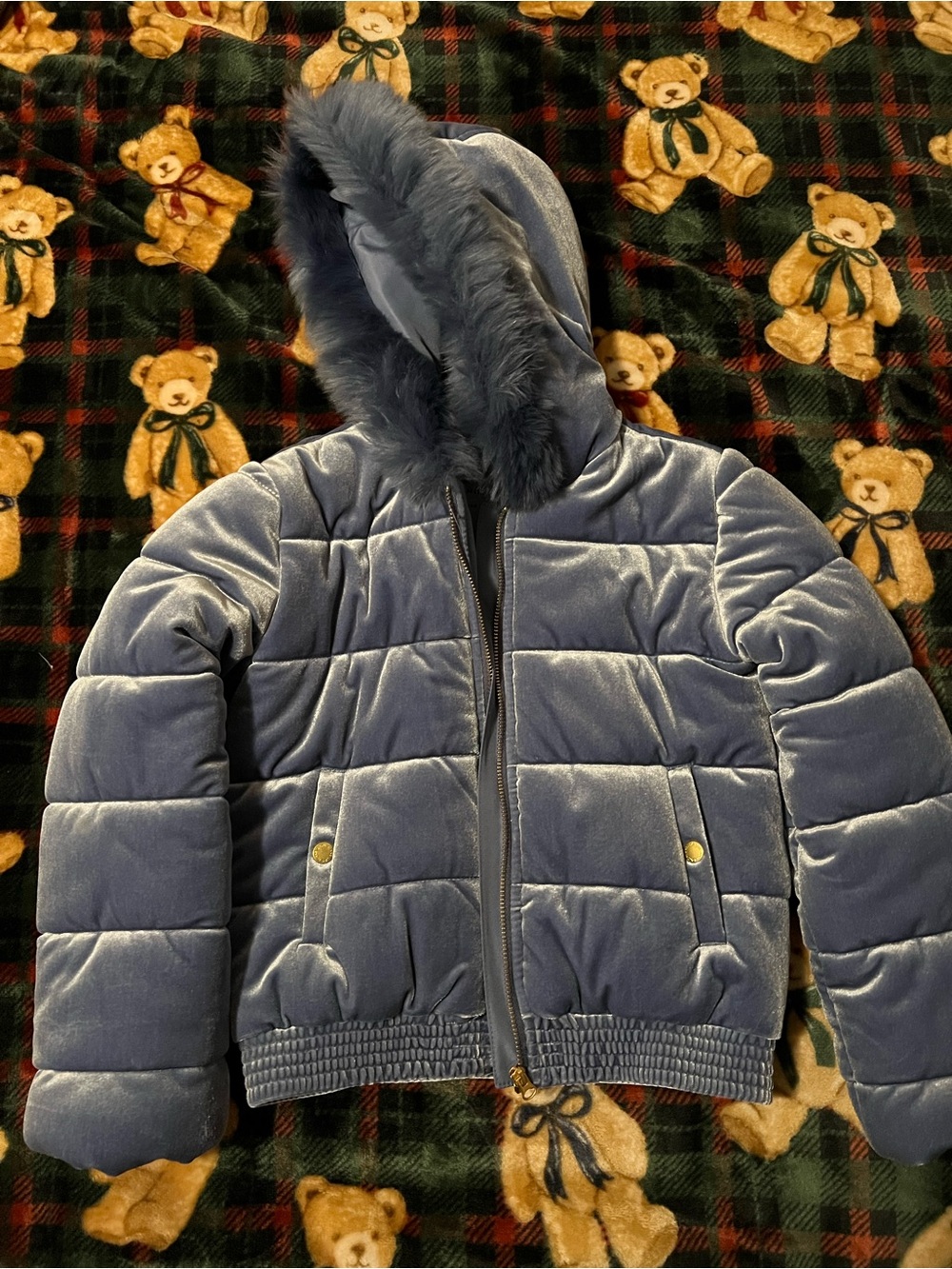 Janie and Jack Plush Velvet Hooded Puffer Jacket - Steel Blue